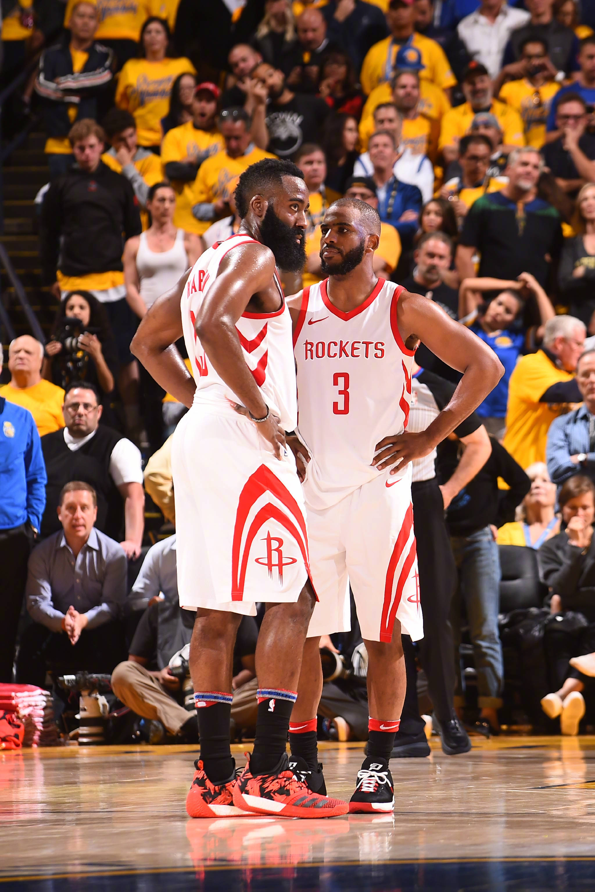 引进埃塞基 引进埃塞基